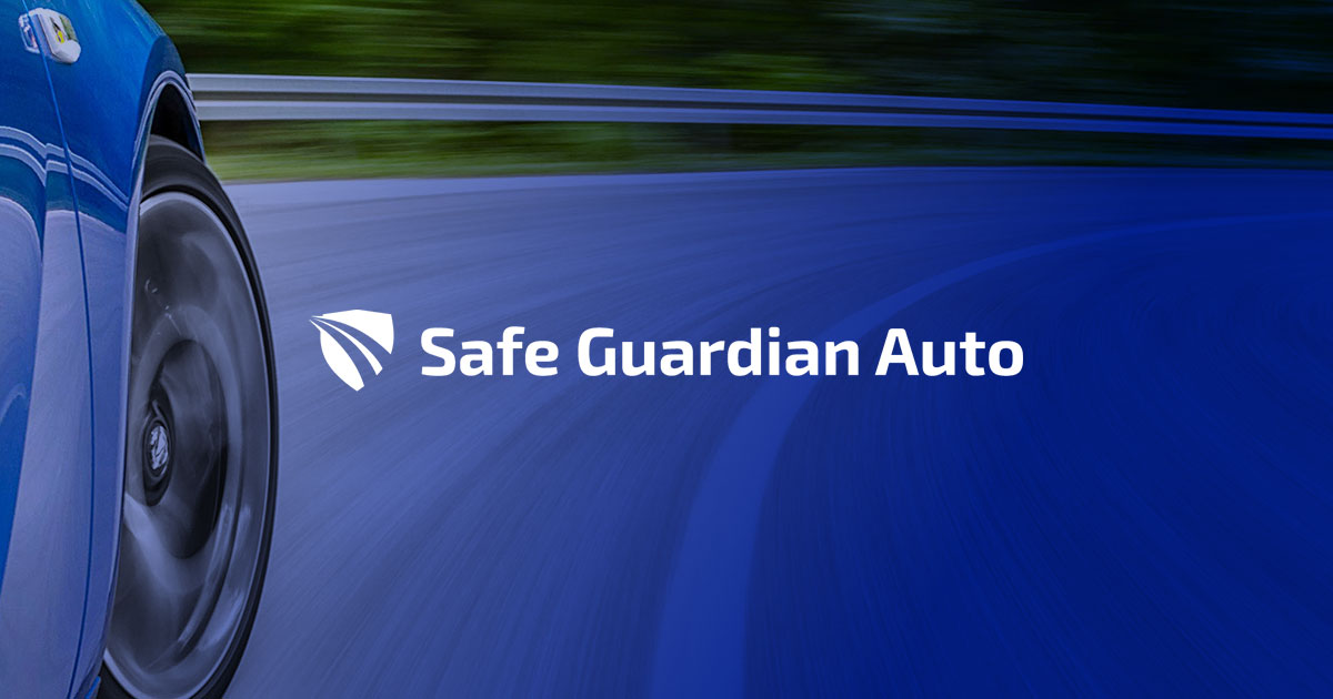 safe keep guardian review